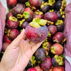 Buah Manggis 1Kg