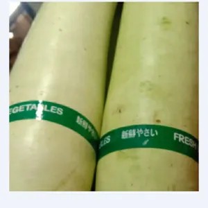 labu putih /labu air per pack