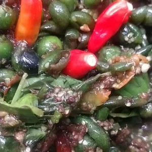 karedok leunca bonus asin selar sudah di goreng per pack