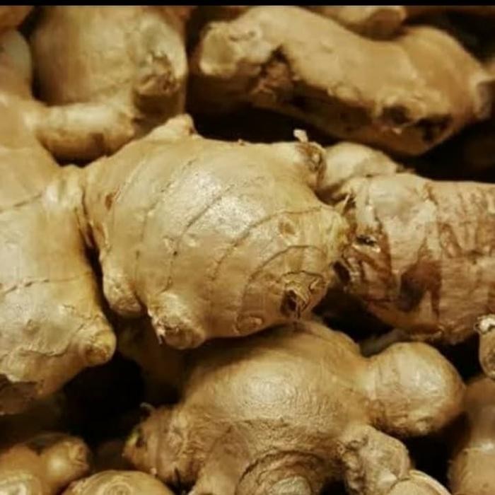 

Jahe Gajah (Jahe Putih) Fresh & Segar 500 gram