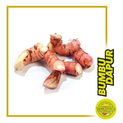 

Lengkuas - 250 gr