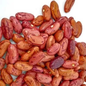 kacang merah kering 1kg