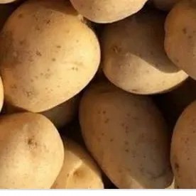 

kentang Dieng kecil 1kg