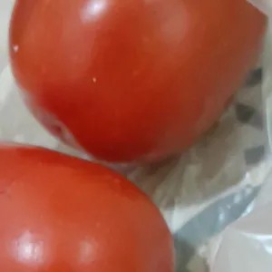 

Tomat merah kecil 250g