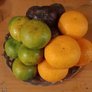 parsel piring coklat : Kino Medan salak 1per pack