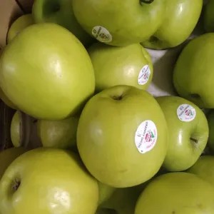 

apel malang jumbo 1kg 1000g