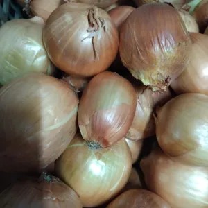 bawang Bombay 1kg 1000g