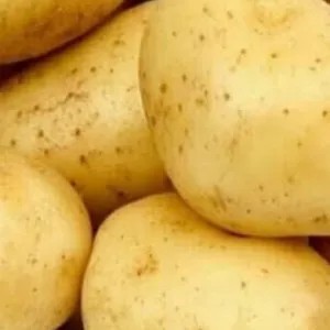 kentang dieng jumbo 1kg 1000g