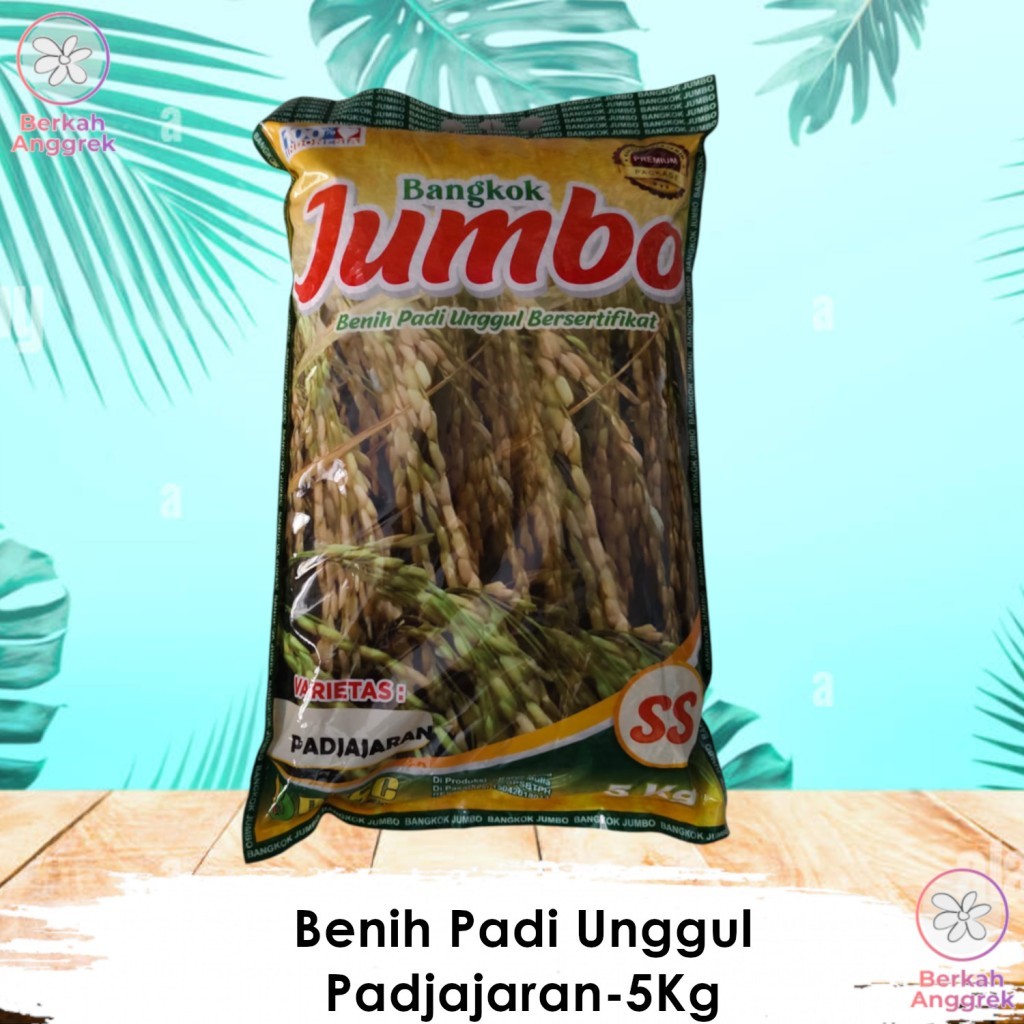 Benih Padi Hibirda Berkualitas Padjajaran 5 Kg