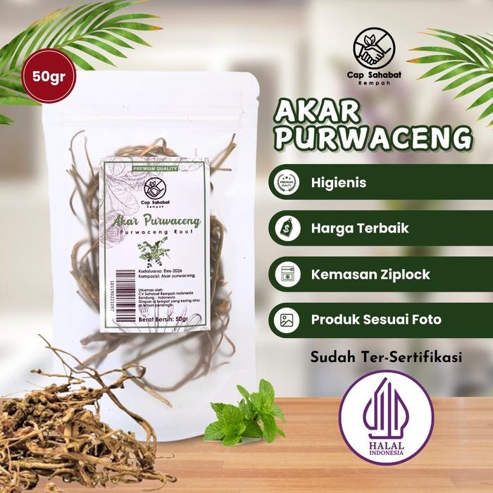 

50gr Akar Purwaceng / JSR / 100% PREMIUM QUALITY