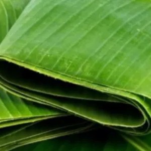 

daun pisang isi 20lmbar