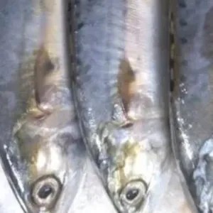 

ikan kembung banjar 1kg