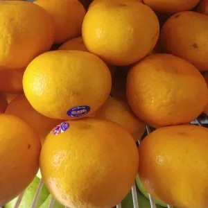 jeruk mandarin /kino /murcot 1kg