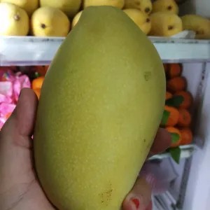 

mangga tailand (berat 0.8gr isi 2pcs ) 1per pack