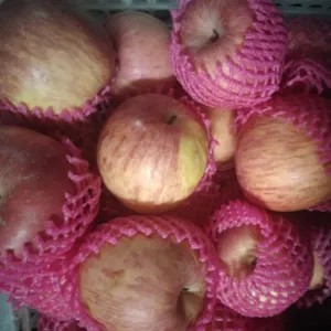 apel Fuji premium 1kg 1000g