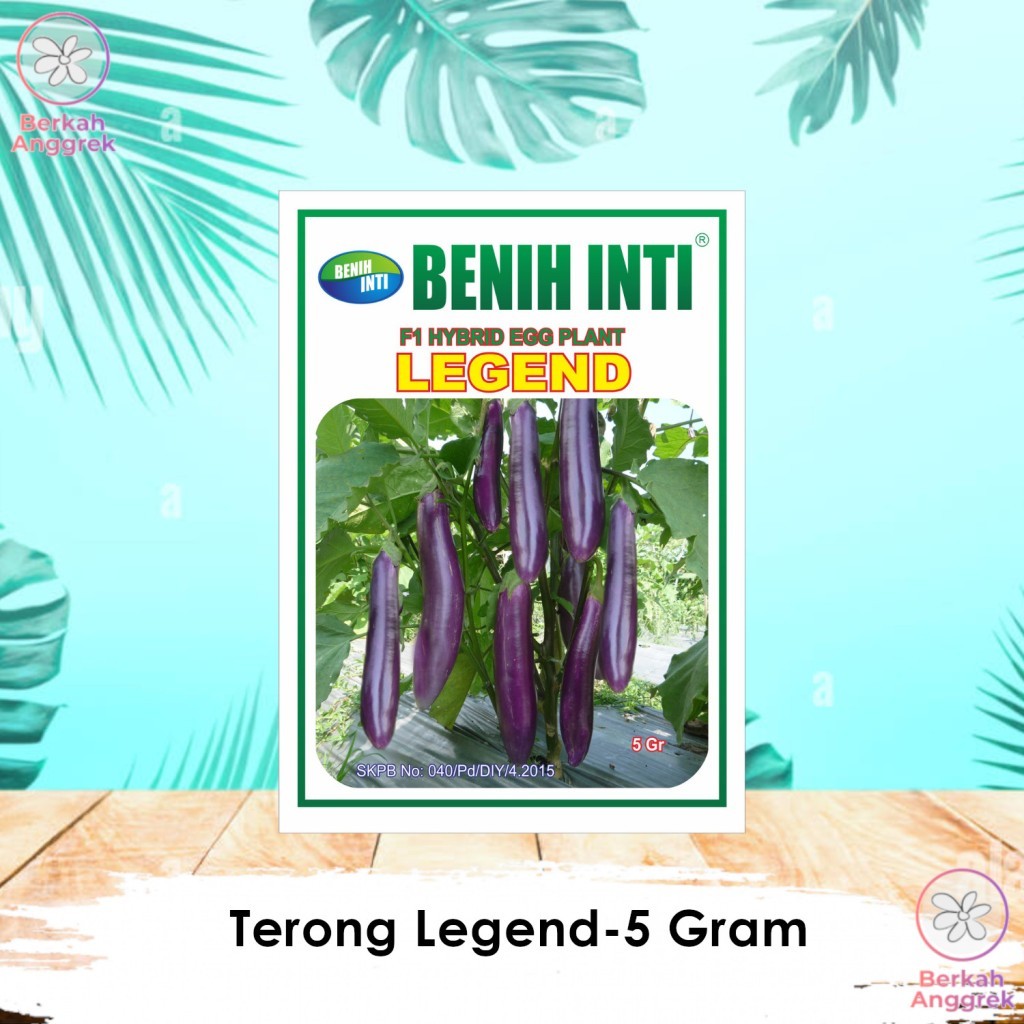 Benih Inti Benih Terong Ungu Panjang Legend 5 Gram