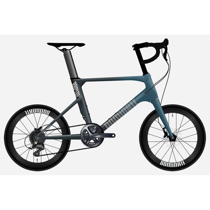 Sepeda DOMINATE RAPIDE Elite 2022