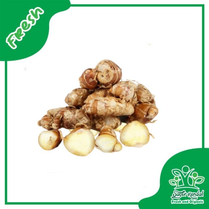 

Kencur (250gr) - Sayur Kendal