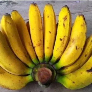

pisang raja 1per pack
