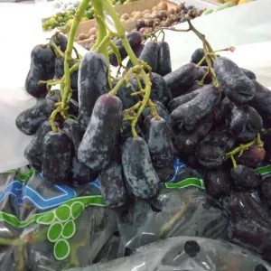 

anggur autum moondrop 500g