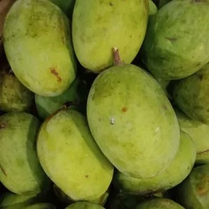 mangga kweni 1kg