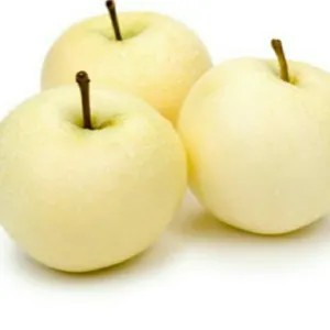 

pir century 1pcs 250g