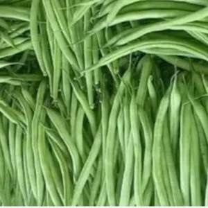 BUNCIS 1kg