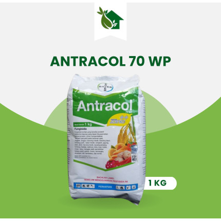 Fungisida ANTRACOL - 1 KG
