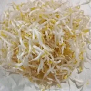 TAUGE KECIL 1kg