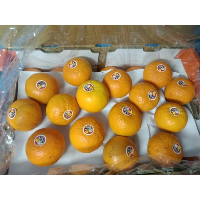 

buah jeruk kupas manis wokam wogam honey mandarin ponkam lokam ponkan