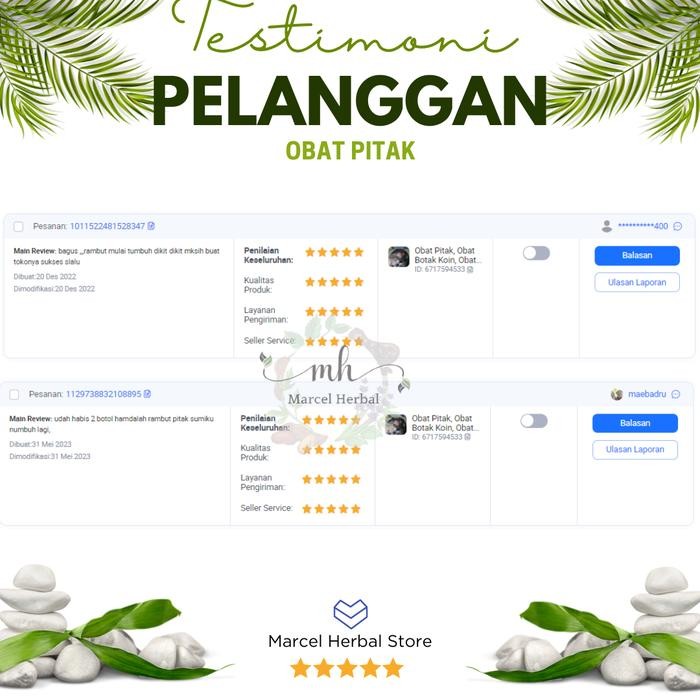 OBAT PITAK ( ALOPECIA AREATA ) RAMBUT RONTOK BOTAK KOIN PITAK