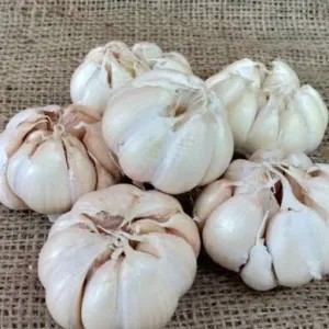 

bawang putih bulat 1kg