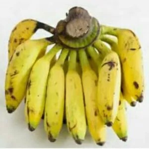 

pisang uli besar 1per pack