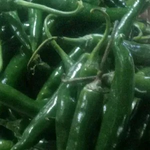 cabe ijo besar 1kg