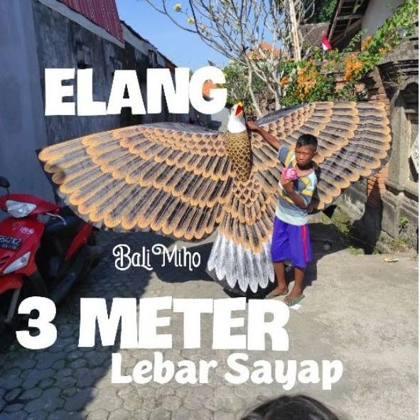 (Good) MJ042 LAYANGAN BURUNG KAIN LAYANGAN ELANG 3 METER LAYANGAN 3 DIMENSI