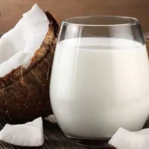 

1 butir santan kelapa