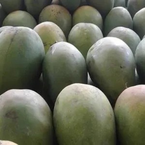 

Mangga Arumanis 500g