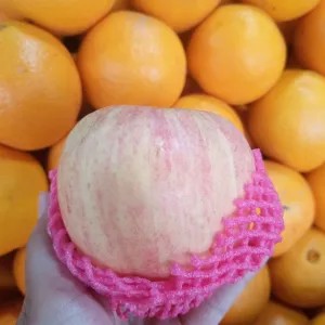 Apel Fuji Sunpride 1kg