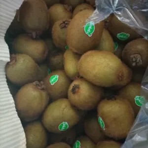 buah kiwi 1kg