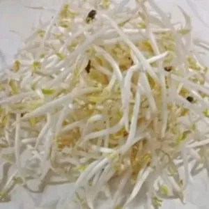 TAUGE BANGKOK 200g