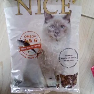 nice 500g