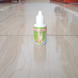 Stop Kembung obat kembung kucing