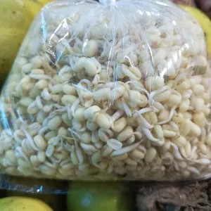 toge rawon