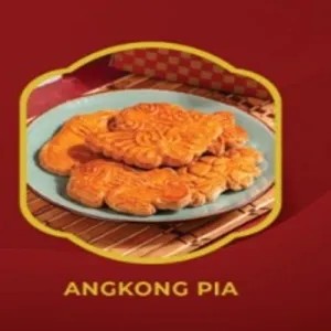 Mooncake Biuskuit (Angkong Pia )10Pcs
