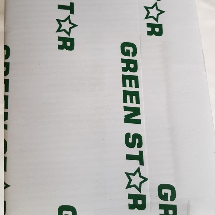 

Ncr Gs Green Star Bottom Kuning F4 Kertas Karbon Nota Kontan