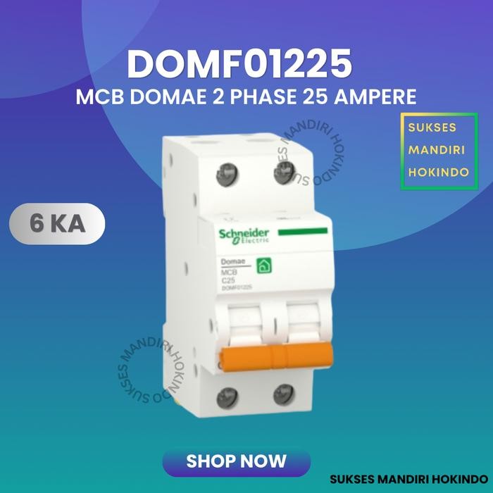 MCB 2 PHASE 25 AMPERE 2P 25A 2POLE SCHNEIDER DOMAE BARU 6KA ORI SNI