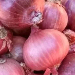 bawang merah india 1kg