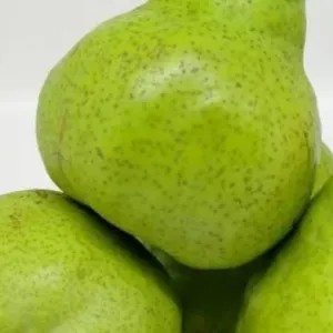 

Pear ponkam 1kg