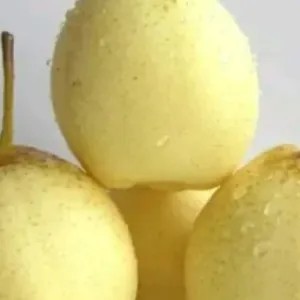 

pear yali 1kg