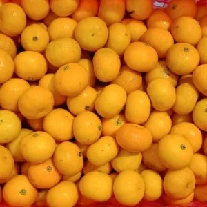 

jeruk santang gundul 250g